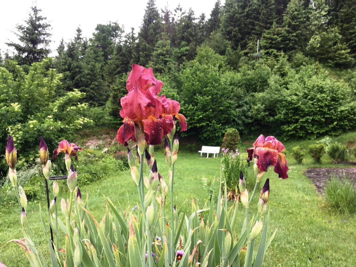 Baeckeralm - B&B 16 + Mittenwald Bagian luar foto